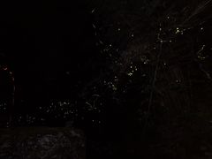 -芦沟竹海