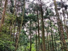 -雁荡山大龙湫景区