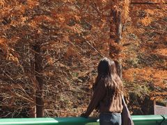 -南京市无想山景区