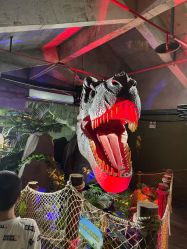 -恐龙探索乐园(磁器口店)