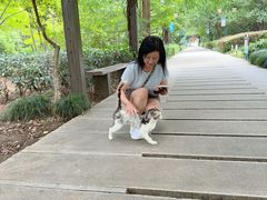 -白马涧龙池景区