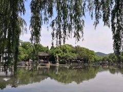 -西湖外事游船(花港观鱼码头)