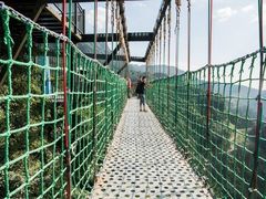 -梦幻奥陶纪景区