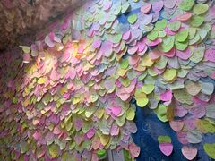 -阿信厚吐司(曾厝垵店)