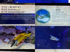 -上海海洋水族馆