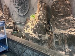 -徐鼎盛民间菜(上筑店)