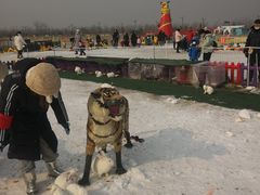 -绿野森林乐园冰雪季