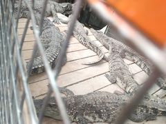 -呀路古热带植物园