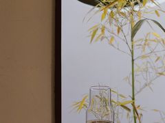 冰手冲水洗耶加雪菲-古耳咖啡(北锣店)