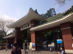 -中山大学学者灵芝(园南路店)
