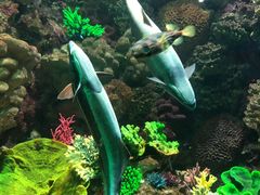 -海合安青岛极地海洋公园