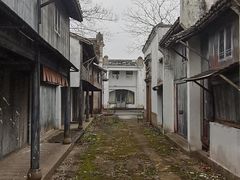 -上海鲜花港