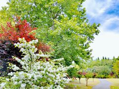 -上海滨江森林公园