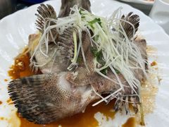 清蒸石斑-东江海鲜酒家(艺都分店)