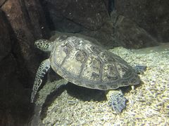 -福州罗源湾海洋世界旅游区