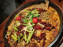 -老板恋上鱼(高新万达店)