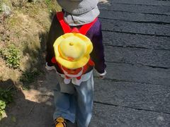 -大罗山风景区