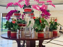-廊坊固安福朋喜来登酒店