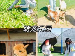 -栖露营camping·天幕烧烤·团建拓展·采摘营地