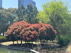 -白塘生态植物园