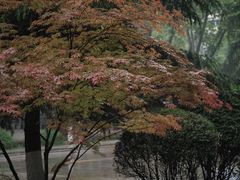 -陕西师范大学(雁塔校区)