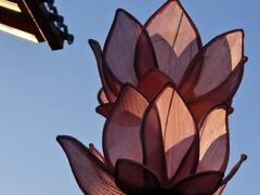 -特克斯八卦城