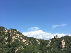 -大岭沟猕猴桃谷风景区