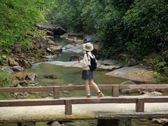 -广州白江湖森林公园