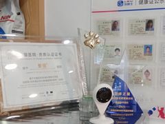 -宠颐生宠物医院·心肾内科·猫专科诊疗中心宠巢店