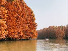 -上海海湾国家森林公园