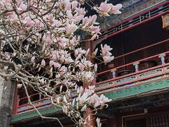 -潭柘寺景区