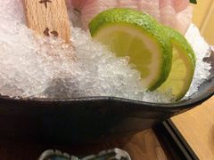 -一本钓鲔鱼屋