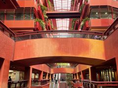 -二酉书店TOYOU BOOKS