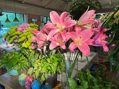 -春暖花开(西溪店)