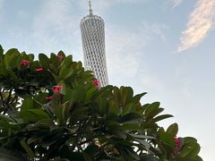 -广州塔
