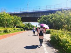 -小绿谷公园