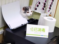 -瑞鹏宠物医院·骨科·猫科·内科(第一中心)