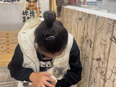 -楼上猫咖(罗湖店)