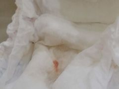 -汇慈安·高端自营月嫂(武汉月子尊享店)