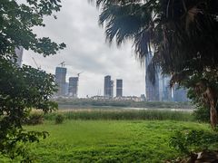 -华侨城湿地公园