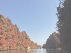 -上海海湾国家森林公园