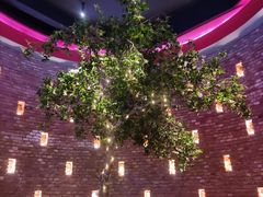 -肉串汪(望京店)