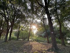-梁鸿国家湿地公园