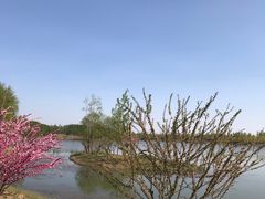 -东郊湿地公园