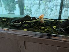 -衡山汇·高级粤菜(霄云路店)