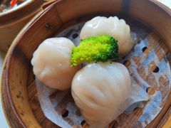 虾饺-荣誉海鲜酒楼(海湾店)
