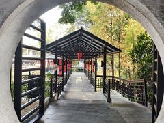 -侨美·唐荔园·40年地道粤菜