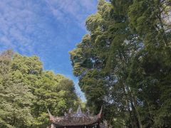 -青城山