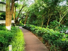 -上海市保健医疗中心