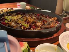 -老板恋上鱼(振华商厦店)